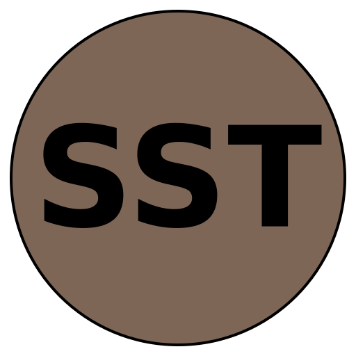 Solid Solutions Travel
